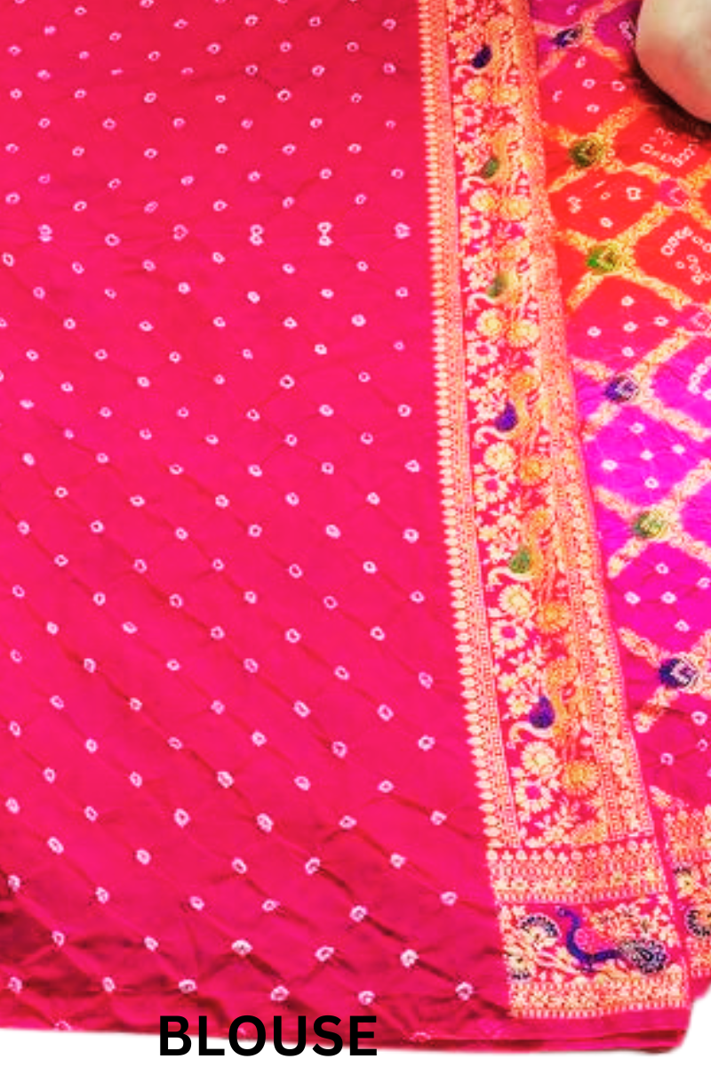 MAHARANI GHAAT-CHOLA SARI