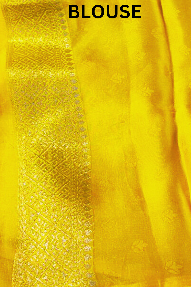 YELLOW BRAHMI SARI